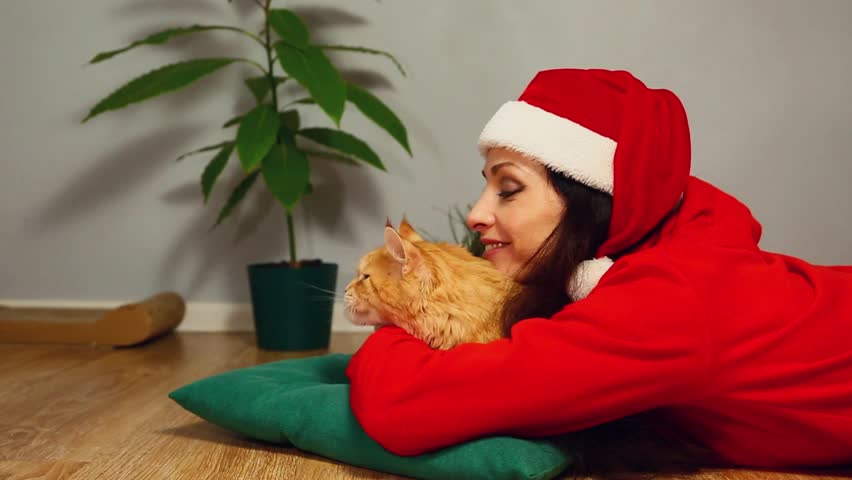 Young smiling woman in santa claus hat with christmas fir green tree lying on a floor in home interior with her orange fun maine coon cat. Girl playing, stroking beautiful fun kitten. Happy new year