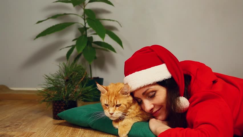 Young smiling woman in santa claus hat with christmas fir green tree lying on a floor in home interior with her orange fun maine coon cat. Girl playing, stroking beautiful fun kitten. Happy new year