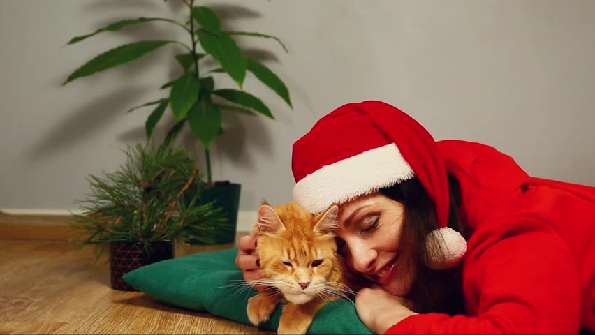Young smiling woman in santa claus hat with christmas fir green tree lying on a floor in home interior with her orange fun maine coon cat. Girl playing, stroking beautiful fun kitten. Happy new year