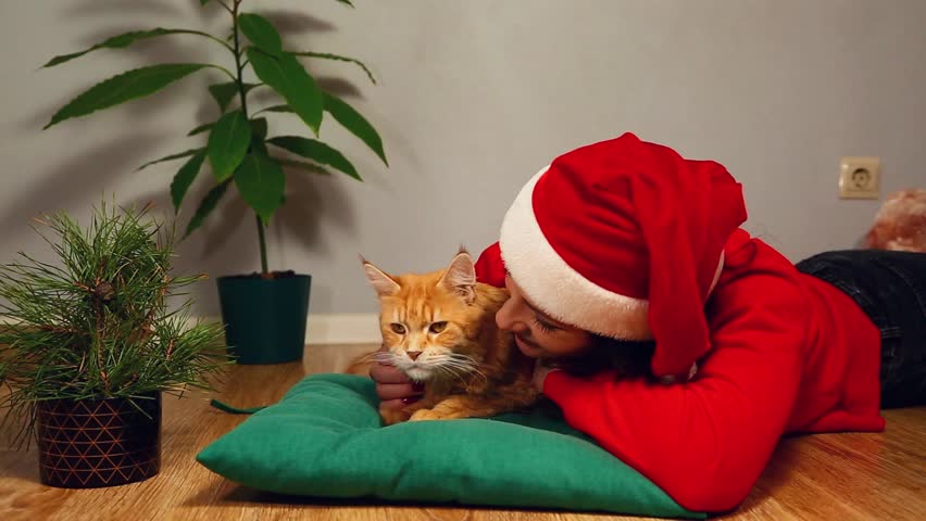 Young smiling woman in santa claus hat with christmas fir green tree lying on a floor in home interior with her orange fun maine coon cat. Girl playing, stroking beautiful fun kitten. Happy new year