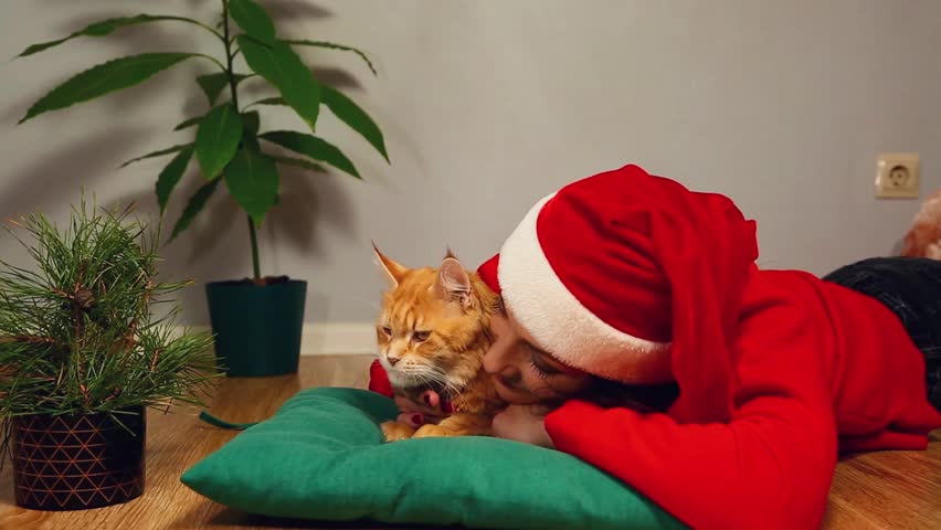 Young smiling woman in santa claus hat with christmas fir green tree lying on a floor in home interior with her orange fun maine coon cat. Girl playing, stroking beautiful fun kitten. Happy new year