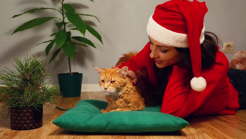 Young smiling woman in santa claus hat with christmas fir green tree lying on a floor in home interior with her orange fun maine coon cat. Girl playing, stroking beautiful fun kitten. Happy new year