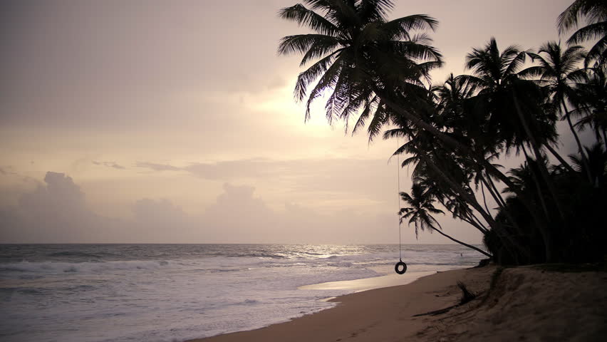 Tropical beach with palm trees and tire swing at sunset