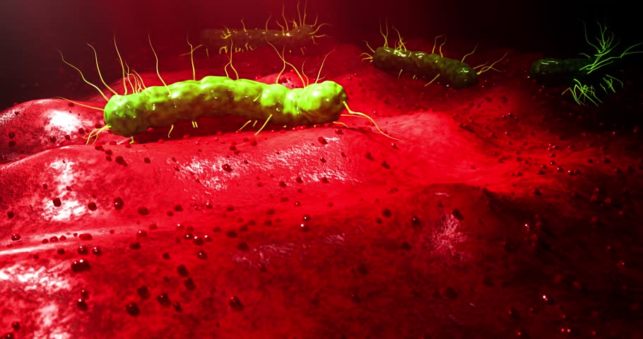 Detailed microbiology illustration of bacteria penetrating soft tissue, revealing inflammation patterns, infection danger, and biological contamination scene, 3D Rendering
