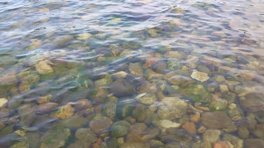 Crystal clear lake water with rocks at the bottom. Lake Baikal