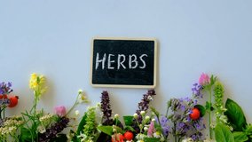Various medicinal herbs on a white background. Selective focus. - Powered by Shutterstock - Get 15% off with code: PIKWIZARD15