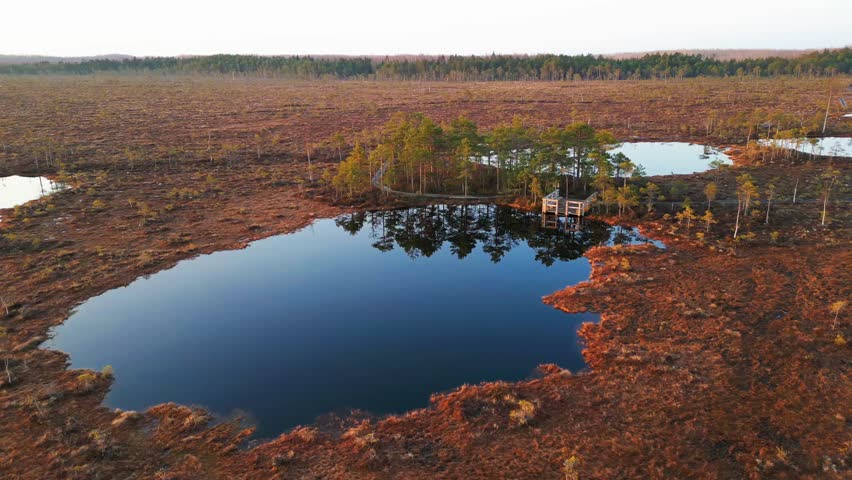 Drone footage of Kuresoo bog with wooden footbridge in Soomaa National Park, Estonia, during spring