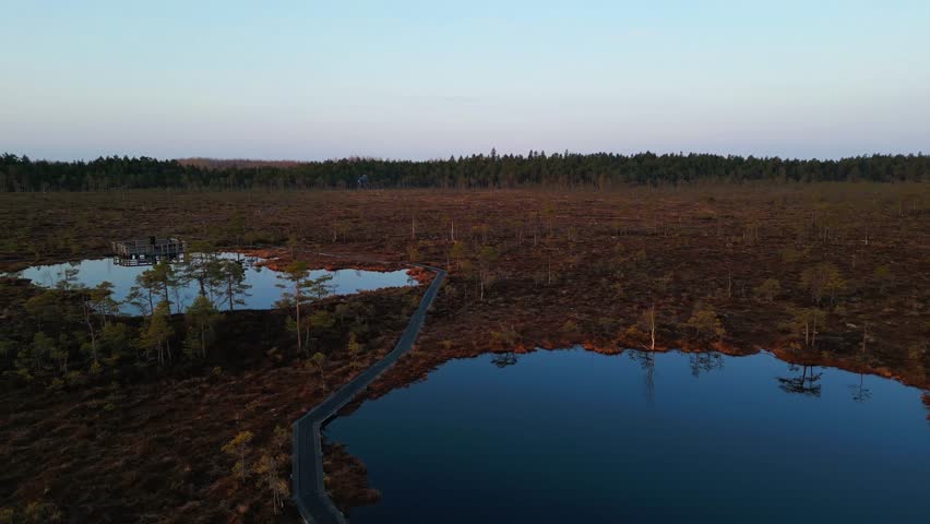 Drone footage shows top-down perspective of Kuresoo bog with wetlands and forest in Soomaa National Park, Estonia.