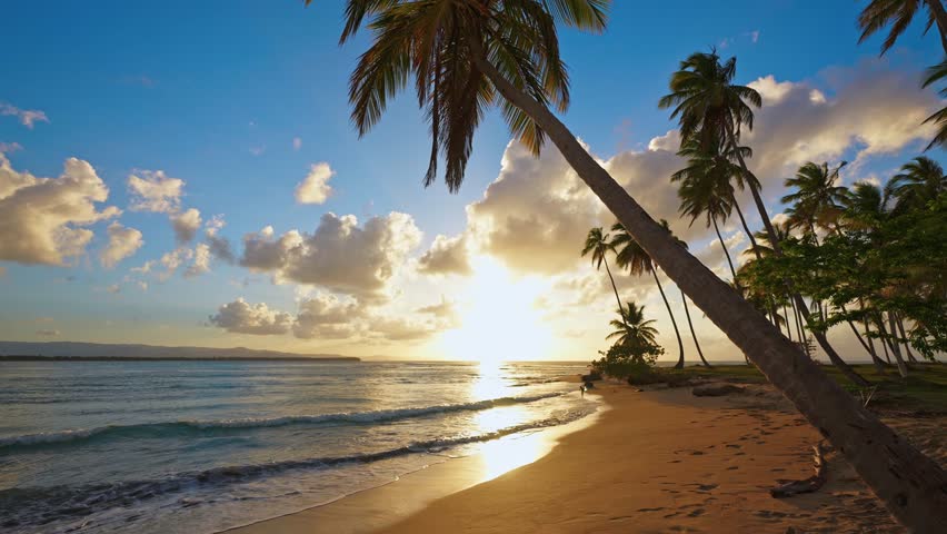 A tropical sunset on a pristine palm-fringed sandy beach. Palm trees gently sway and waves lap in the sunlight. Sunset sky and clouds floating over a tropical sea. Beautiful, bright nature.