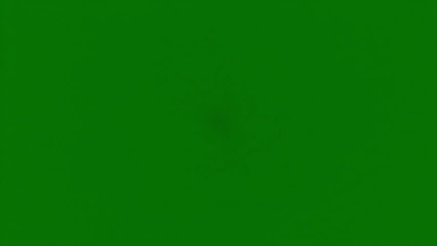 Animated Golden Magic Sparkle Trail Forming a Circle Spiral on Green Screen. Glitter Particle Ring Effect for Fantasy Intros, Portals, and Logos