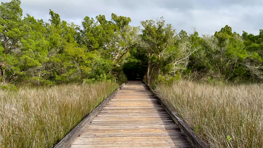 Walking along a boardwalk in Florida
