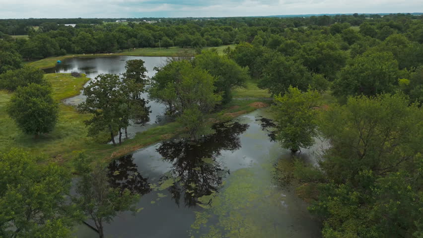 Freshwater Swamp Forest And Open Green Meadows Near Cherokee In Arkansas, United States. Aerial Drone Shot