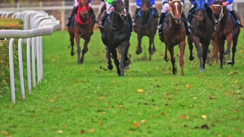 Slow motion shot of racing horses running across a grassy track, with soft light highlighting their moving muscles and grass kicked up by hooves.