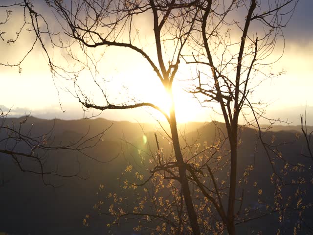 Mountain Forest Nature Landscape Ricco 05498