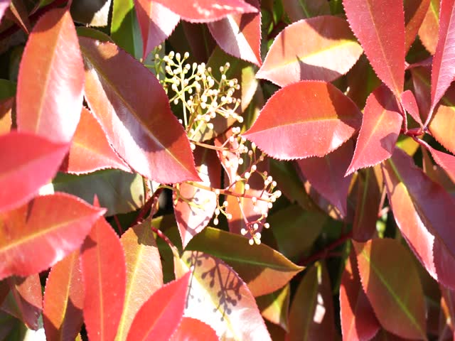 Mountain Forest Nature Landscape Ricco 05590