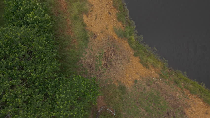 Domesticated Farm Animals Grazing By The Lakeshores. Aerial Topdown Shot