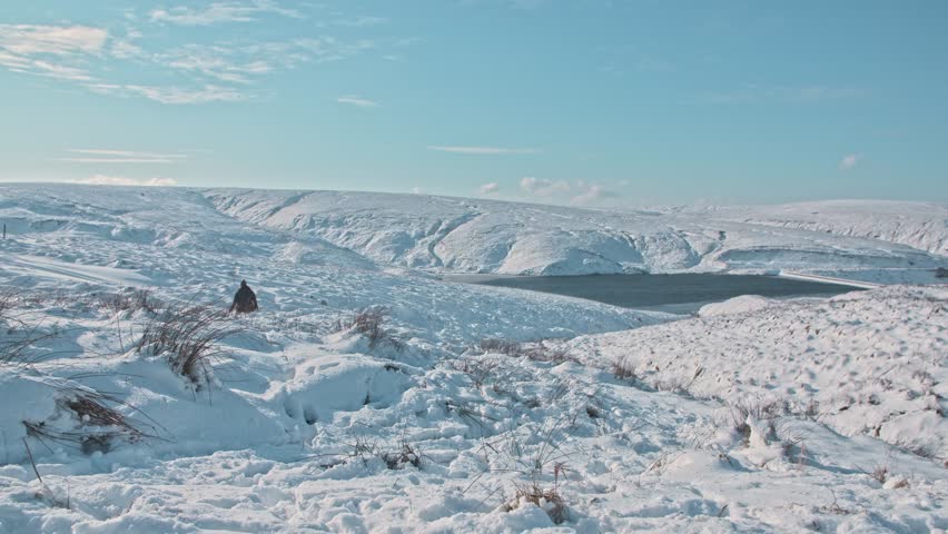 A Red Setter dog runs energetically across a snow-covered field on the Marsden Moors, playfully heading toward its owner.