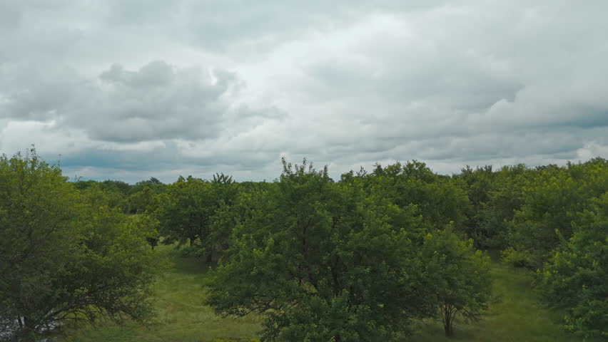 A View Of Swampy Forest Landscape On A Cloudy Day In Cherokee, Arkansas, USA. Aerial Pullback Shot
