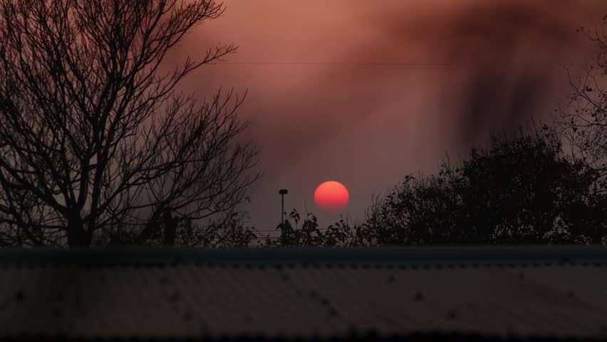 Intense sun flare through dark branches. Dramatic, vibrant red and orange sunlight behind the trees. 4K clips.