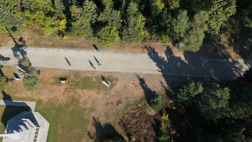 Aerial view A man walks several dogs in a sunlit summer park, moving along green pathways enjoying fresh air. A lively outdoor scene representing relaxation, healthy living, pet-friendly environments