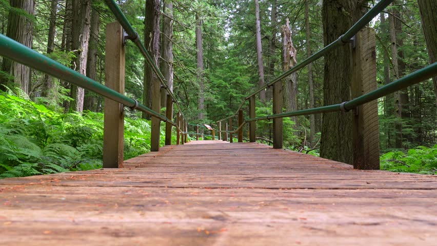 Wooden elevated boardwalk winding through dense forest canopy, with tourists leisurely walking amid lush greenery at giant cedars trail in mount revelstoke national park, british columbia