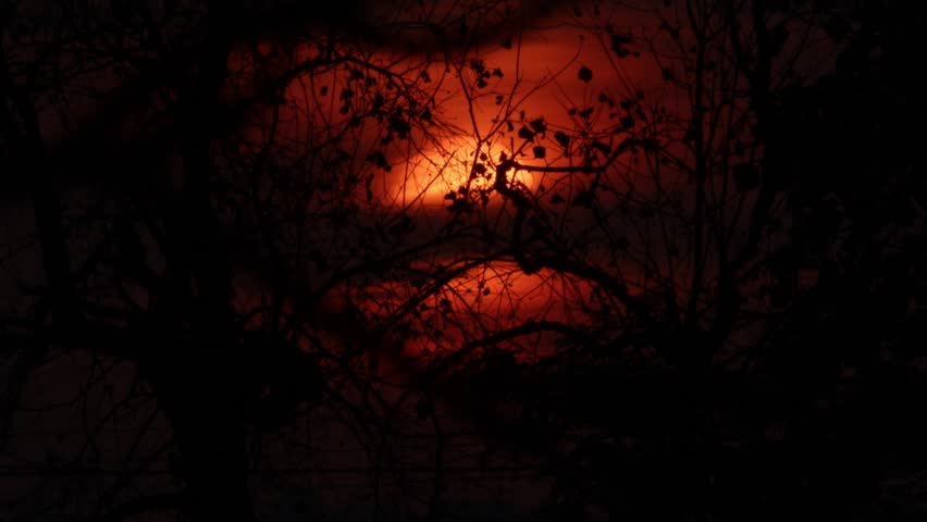 Intense sun flare through dark branches. Dramatic, vibrant red and orange sunlight behind the trees. 
