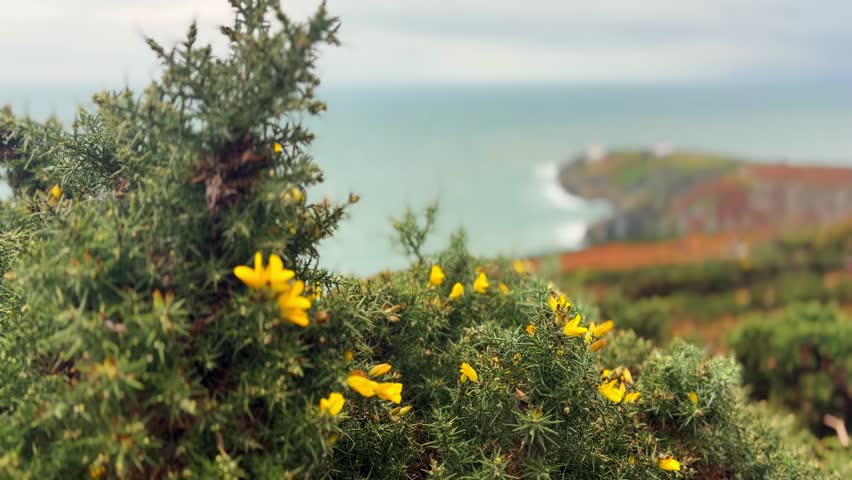 Pan shot of coastal cliffs overlooking the blue sea at Howth Cliff, Dublin, Ireland, during daytime. Calm ocean water moves along the shoreline, capturing a natural Irish seascape.