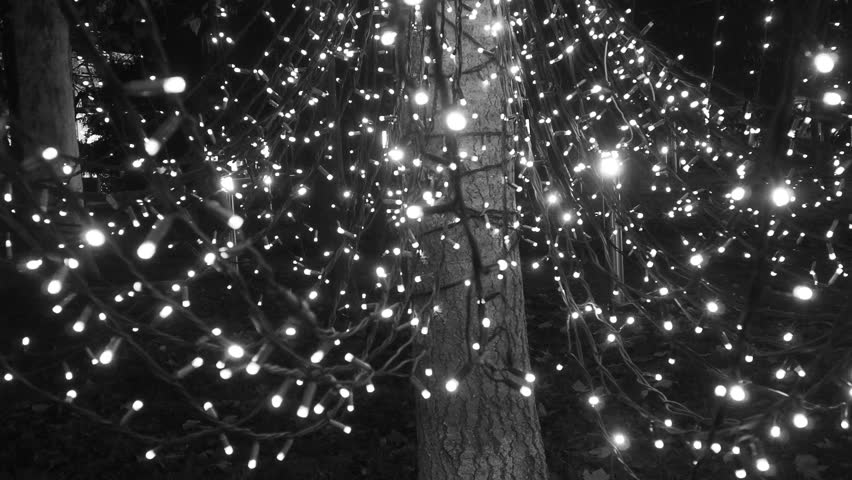 Garlands of glowing small bulbs, hanging on a tree in an evening dark park, and swinging. The theme of the New Year and Christmas. Festive atmosphere. Beautiful electric outdoor decorations. Xmas joy.