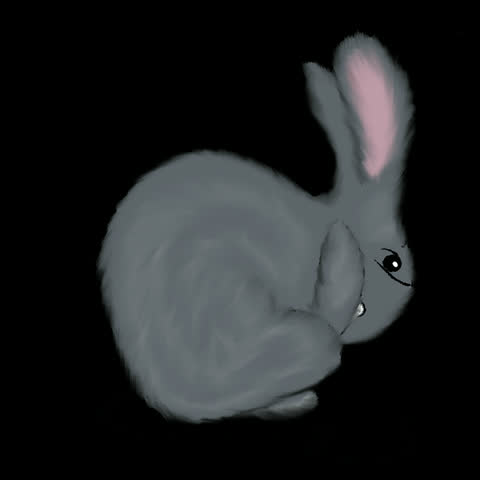 Animated bunny Pack-Cute Hand Drawn Rabbit Characters for Video, Reels, Stories, and Stickers. Differ4ent poses  for Video Content, social media and creative projects