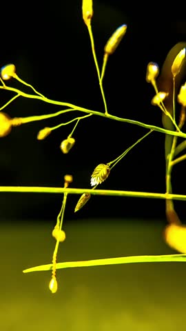 Macro botanical slideshow of delicate leaves and flowers with soft gentle background blur, subtle motion, and vivid natural details, creating a peaceful and calming nature-inspired visual video clip.