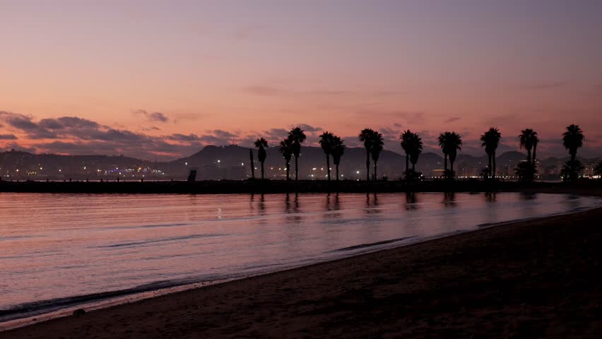 Beautiful sunset over the sea with palm trees. Coastal landscape.