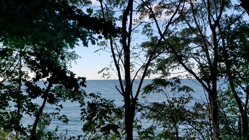 Sea View Through the Trees