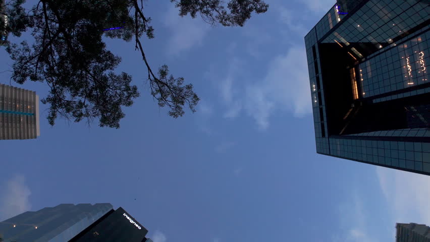 POV view of cityscape. Looking up at tall skyscrapers with tree branches framing the scene. City architecture, modern buildings, and metropolitan environments.
