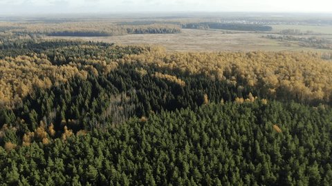 High Altitude Drone Flying over Autumn Landscape