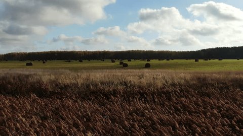 Low Drone Flight over Hay Field