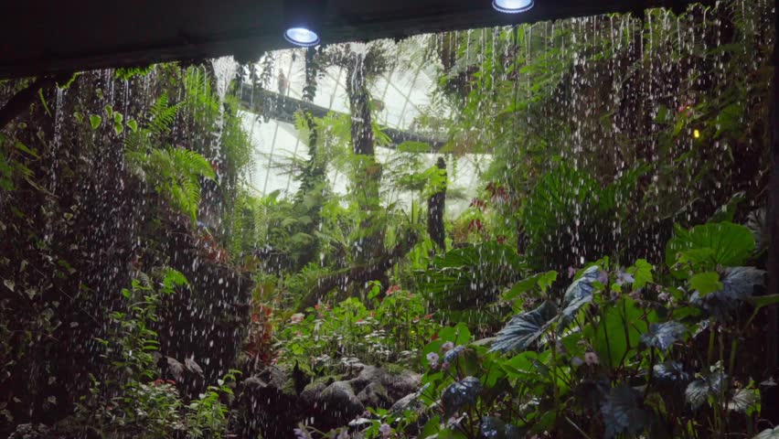 Rainforest waterfall inside the Cloud Forest at Gardens by the Bay, Singapore, showcasing the misty water curtain, lush tropical plants, and striking indoor nature environment.