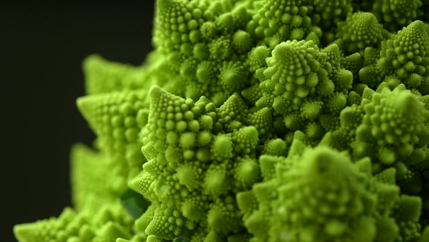 Romanesco broccoli cabbage or Roman Cauliflower abstract texture on black background, macro shot. Fresh Food design, vegan backdrop, slow motion, rotating
