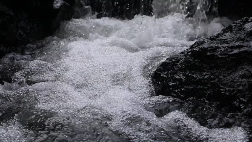 A small clear stream flows gently over natural stones.
A peaceful scene filled with fresh, calming nature.