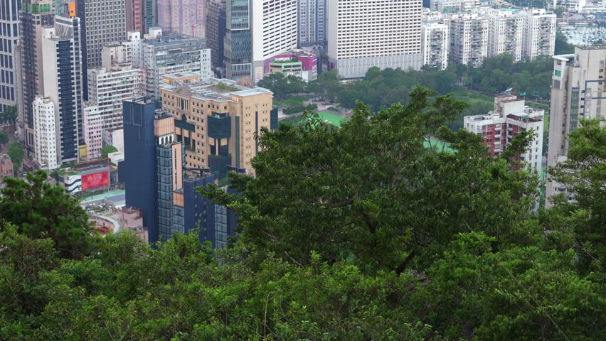 From Braemar Hill, overlooking Hong Kong’s downtown: Tucked behind lush woodlands, the first streaks of morning sunlight spill across Victoria Harbour’s shores and skyscraper clusters.