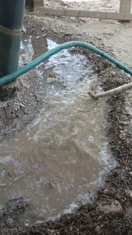Child Watering Bamboo Plant with Hose in Open Field