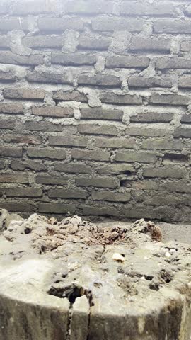 A detailed recording of the process of cutting wood with a machete, showing only the actively moving hands. The texture of the wood, and the rhythm of the swing.