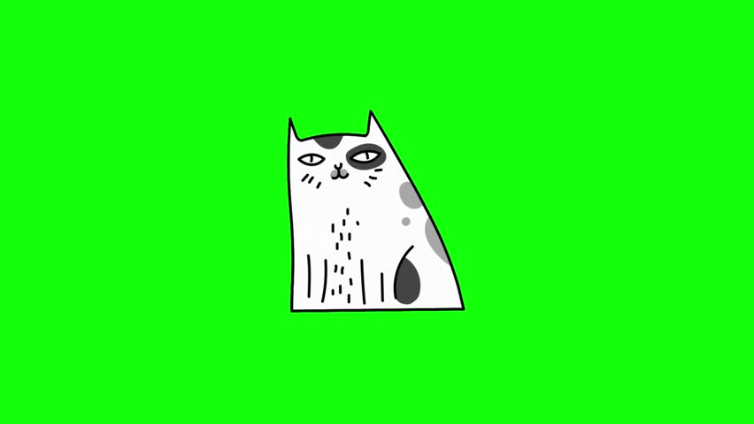2D hand-drawn animation of a white cartoon cat on a green screen. The cat is sitting in a pyramid shape and rotates 360 degrees on a vertical axis, like a 3D model spinning or a loading icon. 