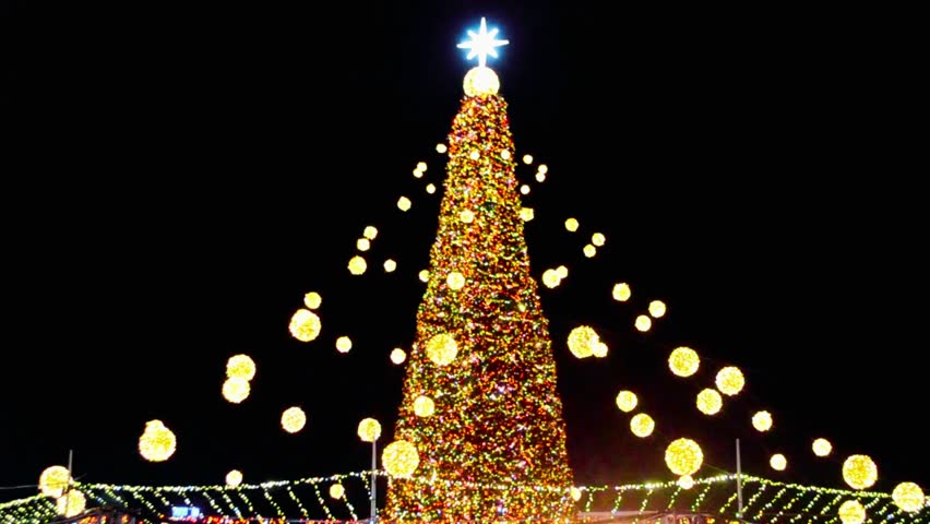 A large Christmas tree illuminated with multicolored lights and ornaments against a dark night sky