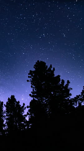 Vertical Universe Milky Way Galaxy July Sky Above Trees Time Lapse Astrophotography