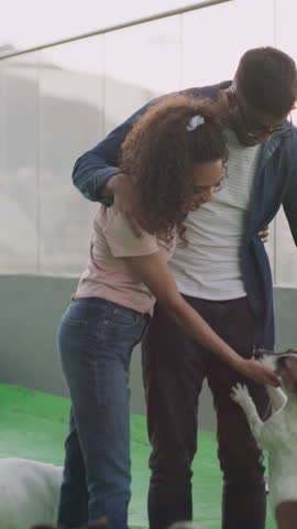 Animal shelter, adoption and couple with dogs, love and playful with happiness. Relationship, man and woman with puppy, service and canine care with support, bonding together and fostering pets