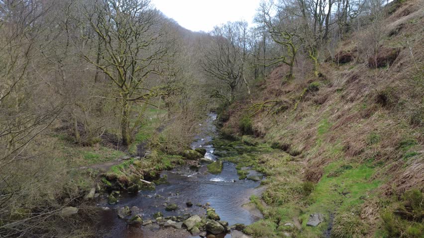 Colden water in the colden valley near hebden bridge in winter showing a stream flowing over rocks in a steep wooded valley