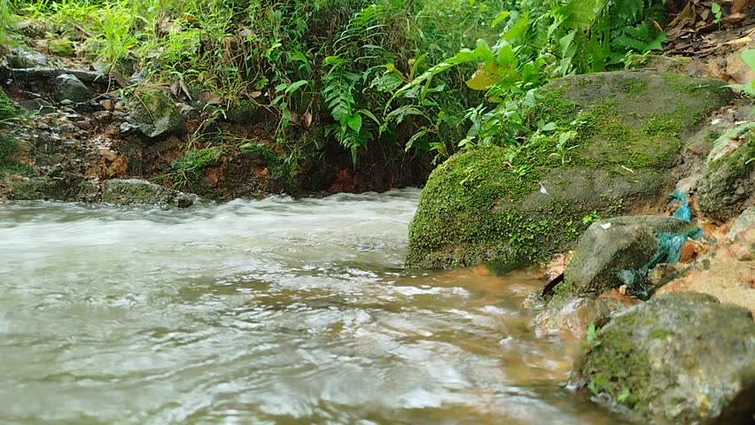 Powerful river current rushing over rocks and rapids. The fast-flowing water creates white foam, capturing the dynamic energy of the waterway.