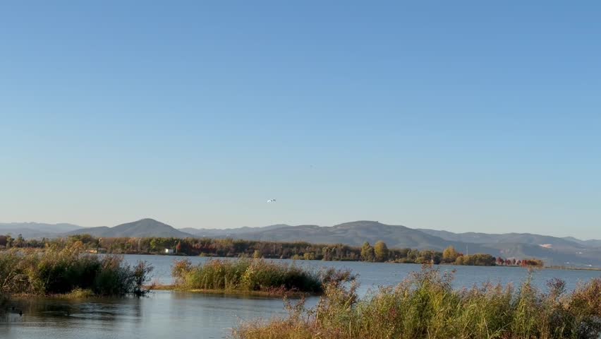Wide lake landscape with distant mountains and a bird gliding under clear blue sky
