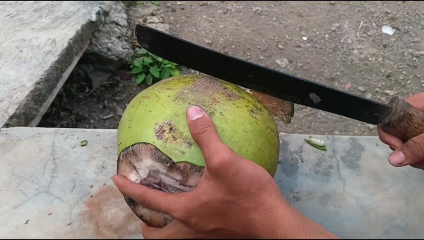 Close-up footage of hands skillfully using a traditional machete to crack open the husk of a fresh, green coconut. Essential clip for Asian cooking, health drinks, or travel documentation.