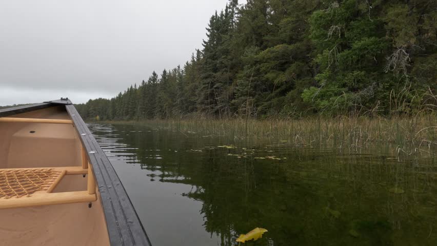 View from a canoe including the gunnel while paddling on a calm northern lake of an evergreen forest.